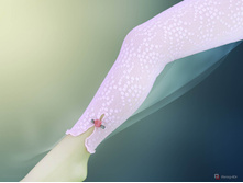 ������ ������� YUMESE 3246.jpg