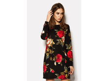 ������ NOVA ������ ������� ���� �������: CRD1504/4261