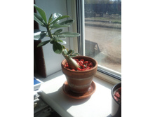 �������