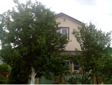 IMG 20150619 150456.jpg