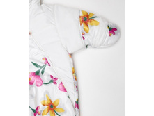 429� ������2.jpg