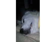 IMG 20150929 172008.jpg