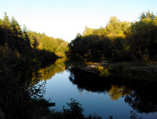 IMG 20150920 170557.jpg