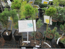 ��.����.��������1500�����2��-���� ���1800