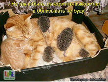 646092 1441269742[1].jpg