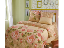 ������ ���� (���)