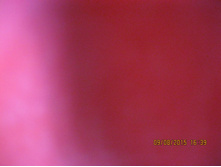 IMG 1496.JPG