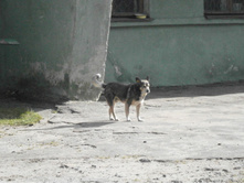 ������ ���������, ���� �� ���������.