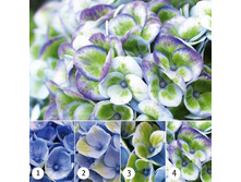 ��������� �������� �������� ��� 467�