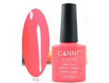 Gellak Shellac CANNI 113 min.jpg