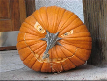 ���� �������?)