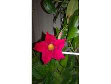 WP 20150822 22 45 10 Pro.jpg