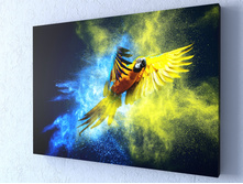 �������� �������.jpg