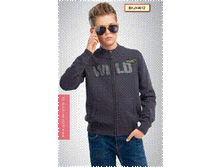 Image085.gif