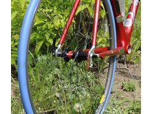 2015-09-13 172027.jpg