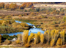 ������� �����