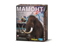 ������ ������� 790�.+%.jpg