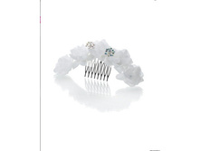 ������� PACP041433.jpg