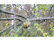 IMG 20150922 152632.jpg