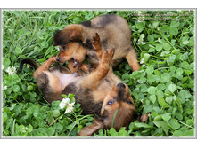 2 ������