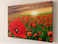 ���� ����.jpg