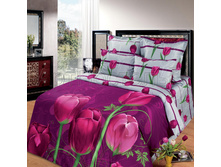 Gollandiya satin Yan.jpg