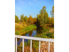 IMG 20150923 124434.jpg