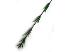 405/0010B ���� ��� ��������