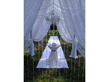 IMG 20150808 144537.jpg