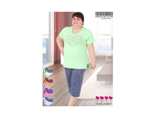 951,00		���_����� ���� 	713,00		���