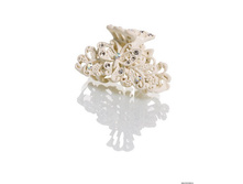 �������-������ PACP041426.jpg