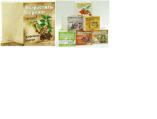 ��������� ������.bmp