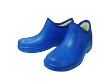 310� �������.jpg