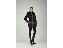 12602 �������� (�������������). 3700 ���.