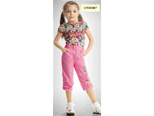 Image127.gif