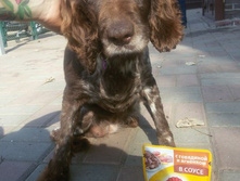 ������� ��� ������ ������� �� ������.jpg