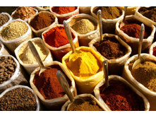 �������� Catch/ ��� /���