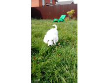 IMG 20150928 121428.jpg