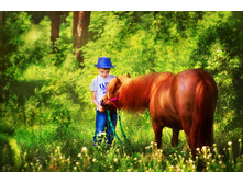 ���� � �������-1.JPG