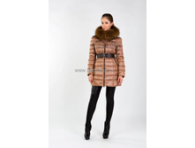 54280 �/������ (���)  5 700 ���.