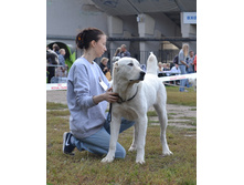 ���� �������