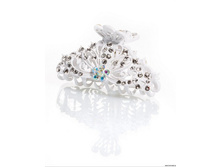 �������-������ PACP041430.jpg