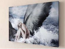 ������� ����� 2.jpg