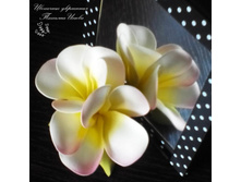 �������� �� ���������