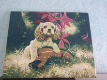 128455830-img 20150825 091351.jpg