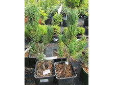 �.�.���.������1500