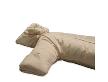 981 �������1