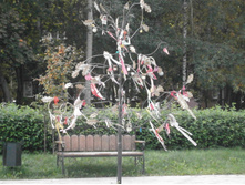 ���� �����������