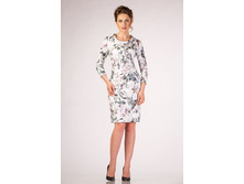 ������ ���� 2600p.jpg