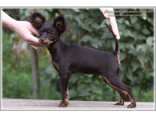 4 ������